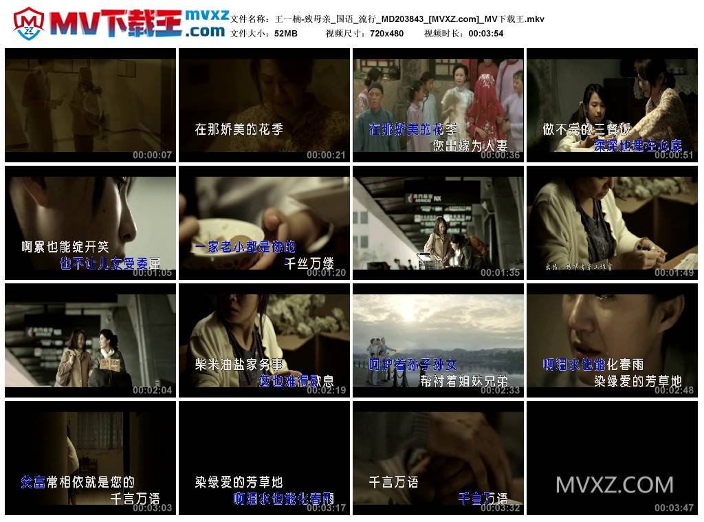 王一楠-致母亲_国语_流行_MD203843
